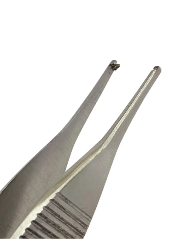 ADISION TOOTH (2) (1) Adision Thooth