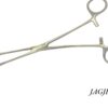 (1) SPONGE FORCEP