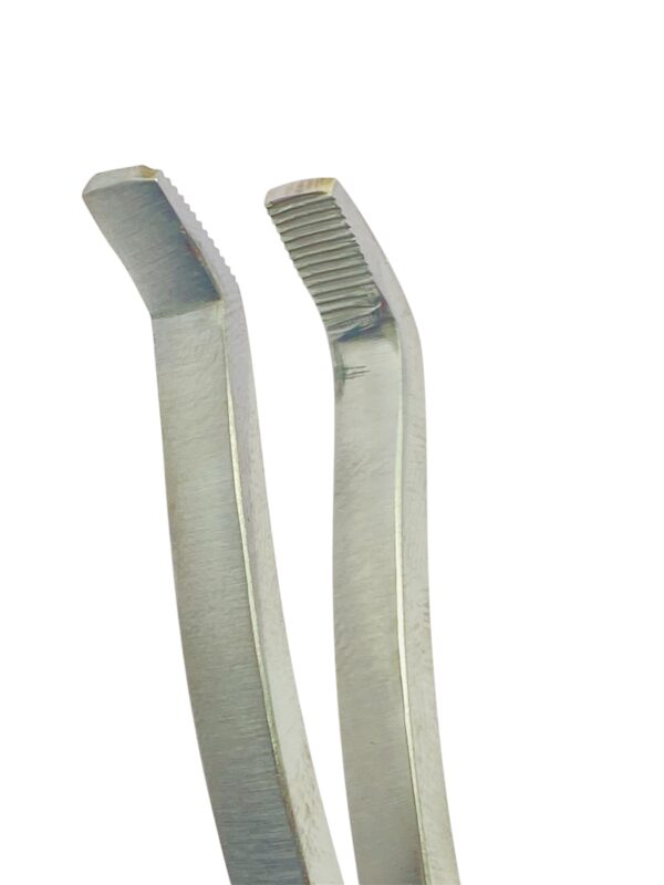 Cheethal Forcep