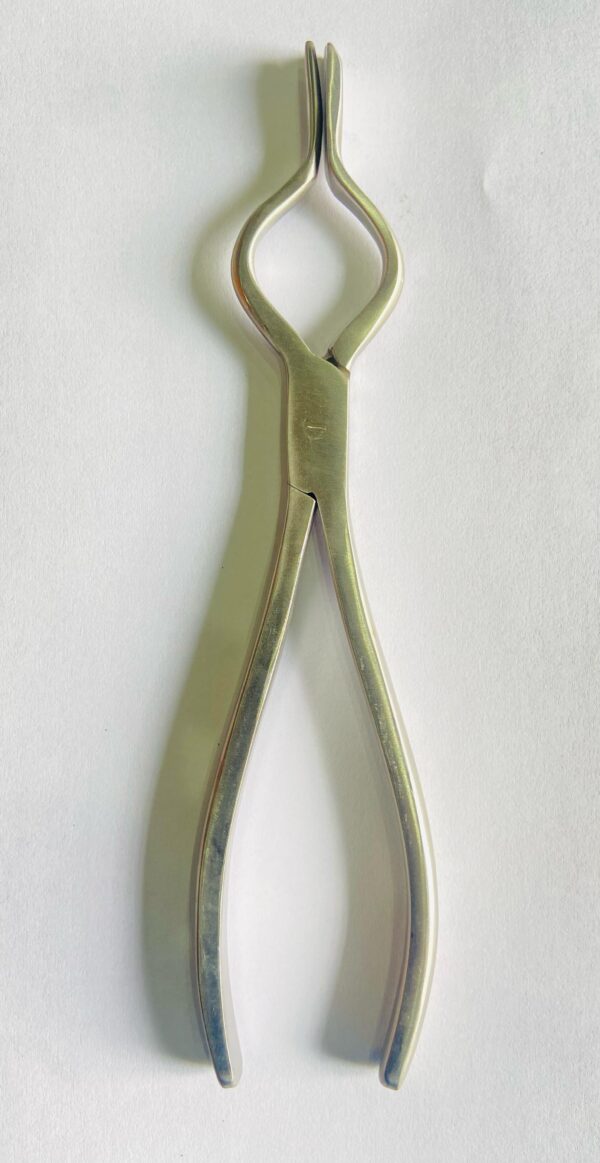 ASH FORCEP