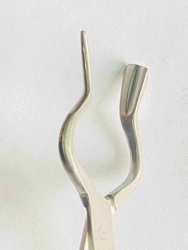 ASH FORCEP