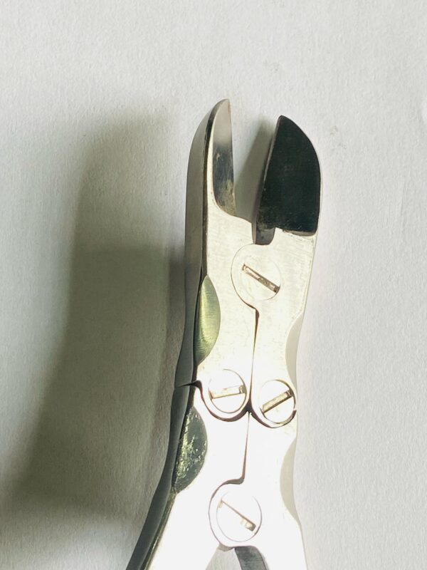 WhatsApp Image 2025-04-29 at 5.26.35 PM bone cutter