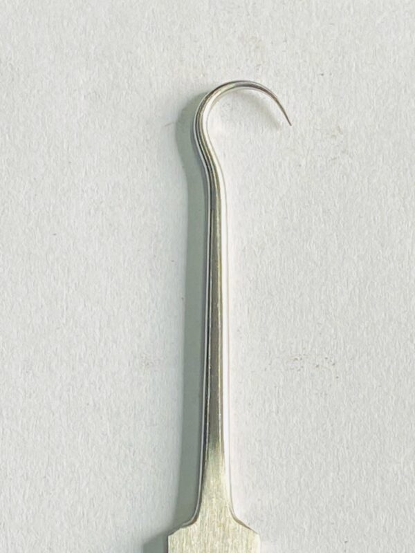 WhatsApp Image 2025-04-30 at 1.10.18 PM bone hook