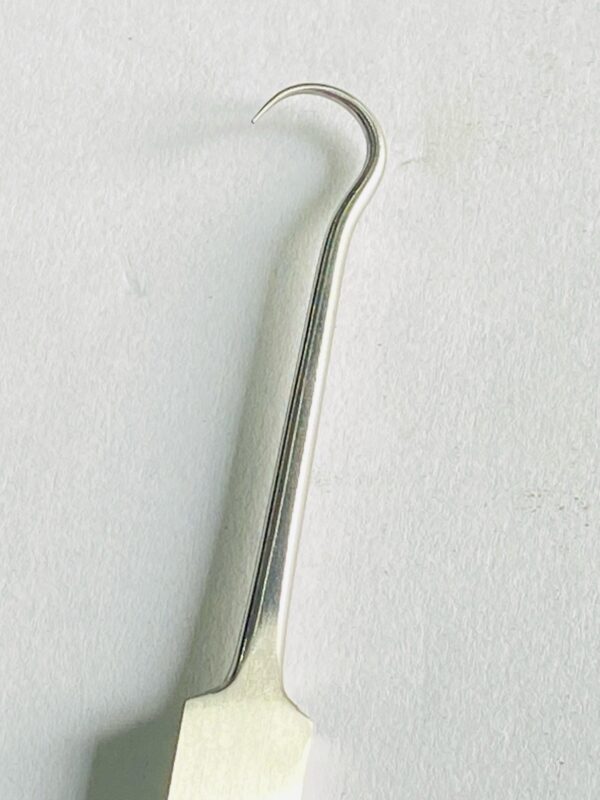 WhatsApp Image 2025-04-30 at 1.10.19 PM bone hook