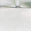 bladder retractor