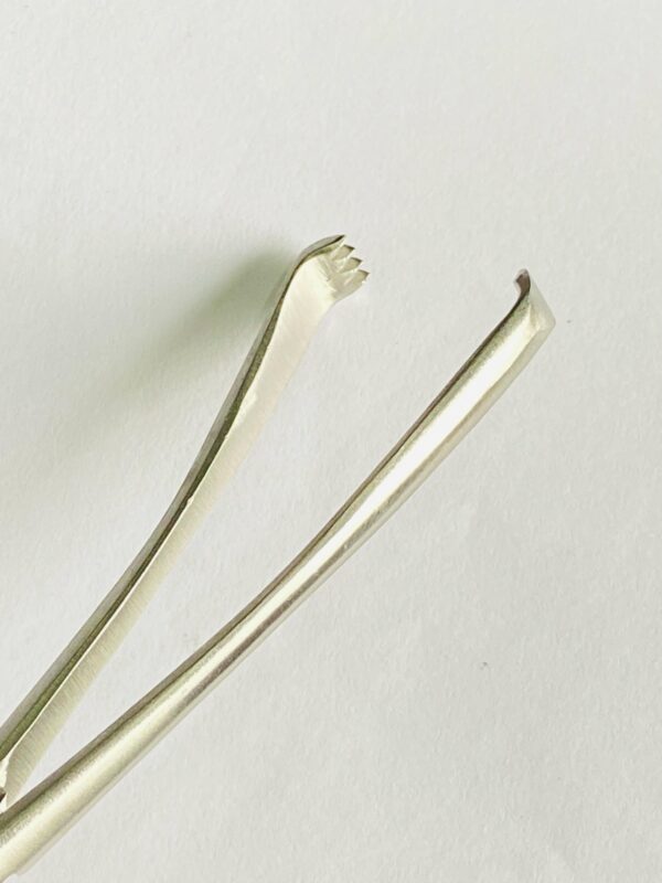 VULSELLUM FORCEPS