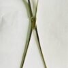 HYSTERECTOMY CLAMP (CURVED)