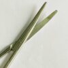 TONSIL SCISSOR