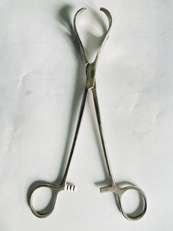 LANE TISSUE FORCEPS