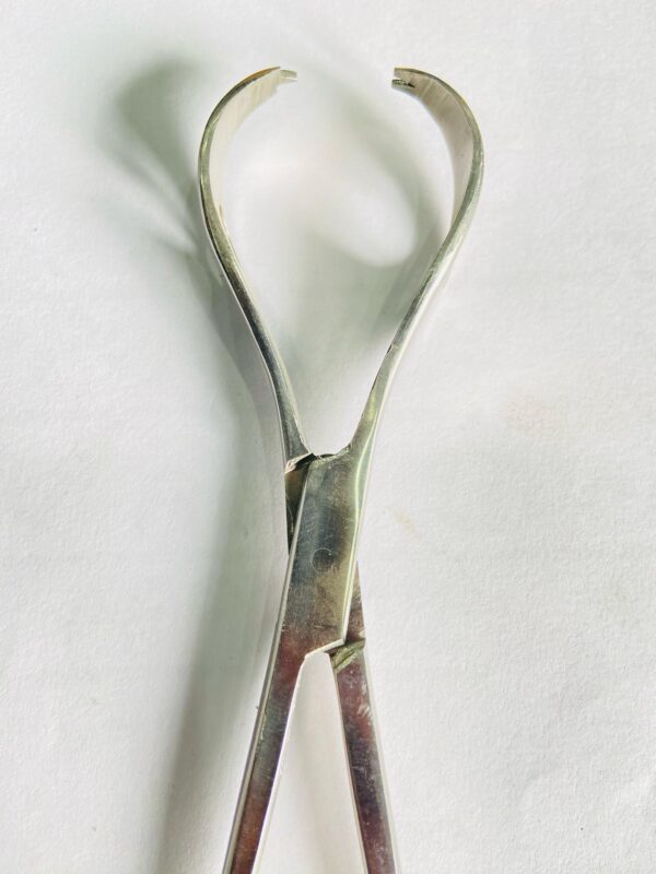 LANE TISSUE FORCEPS