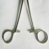 LANE TISSUE FORCEPS