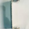 C-SHAPED RETRACTOR
