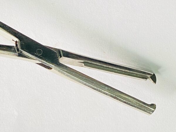 MANGOT FORCEP