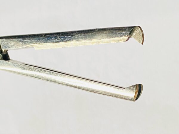 MANGOT FORCEP