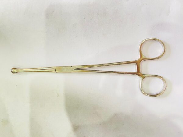 WhatsApp Image 2025-05-05 at 1.11.27 PM (1) dodi forcep
