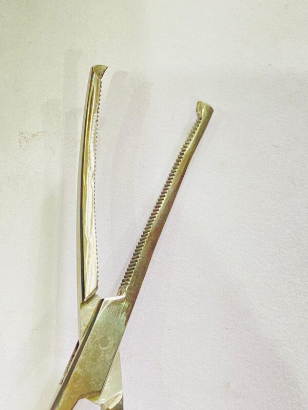 WhatsApp Image 2025-05-05 at 1.20.51 PM KOCHER FORCEP CVD