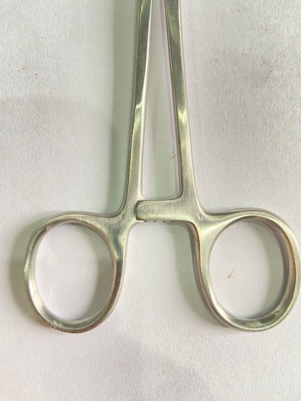 WhatsApp Image 2025-06-16 at 1.52.29 PM (1) green armytage forceps