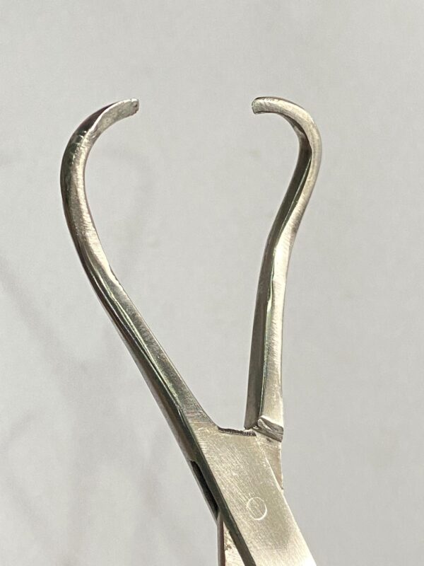 towel clamp forceps