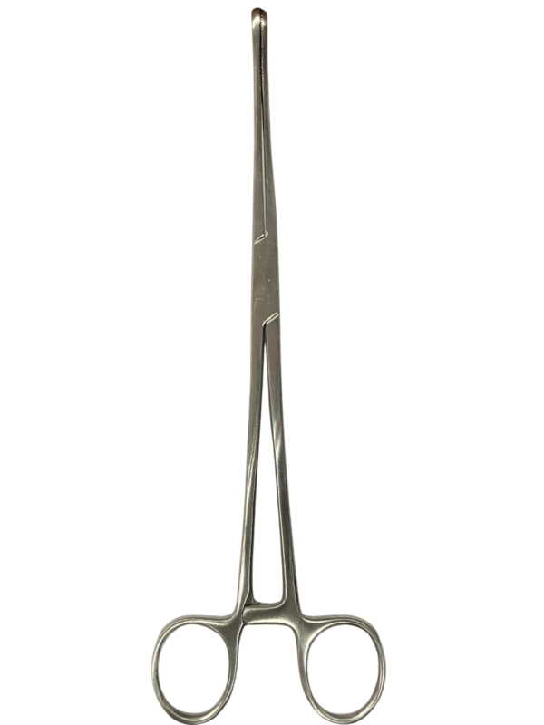 WhatsApp Image 2025-06-16 at 5.44.55 PM-Photoroom RAMPLEY SPONG HOLDING FORCEPS