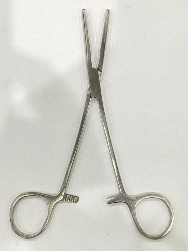 WhatsApp Image 2025-06-17 at 12.41.23 PM (1) Lahey forceps