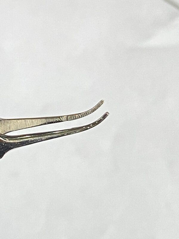 WhatsApp Image 2025-06-27 at 12.04.41 PM (4) jaywant micro tying forcep