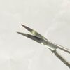 utrata capsularhexis forcep