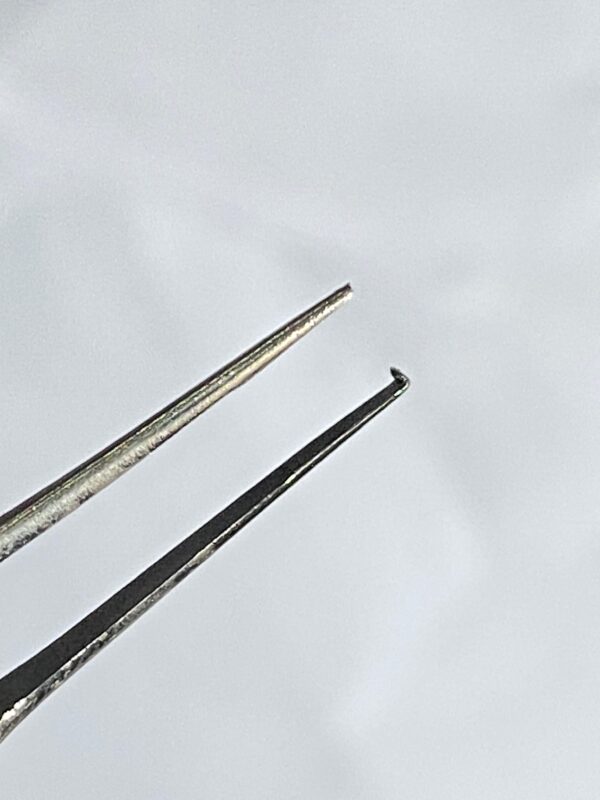 WhatsApp Image 2025-06-28 at 12.23.40 PM (1) s.t martin suture forceps