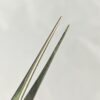 BONN MICRO ISIS FORCEP