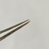 WhatsApp Image 2025-07-01 at 1.48.16 PM (1) PIERSE FINE FORCEP