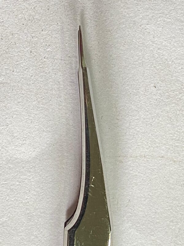 WhatsApp Image 2025-07-01 at 1.48.19 PM MICRO VISSEL DILATOR FORCEPS