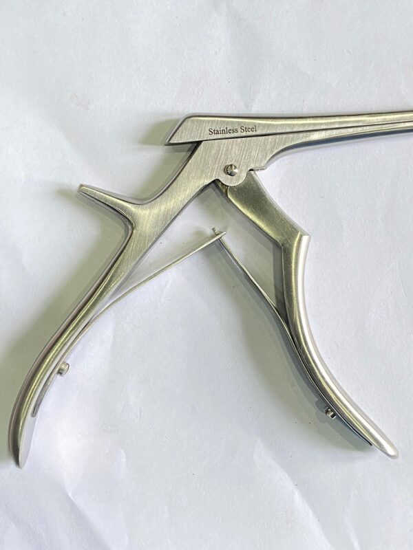 KERRISON PUNCH