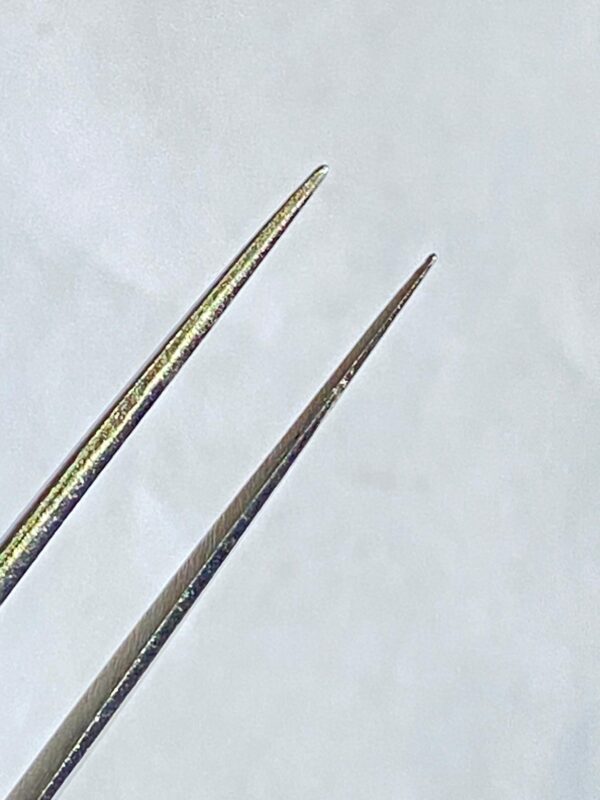 WhatsApp Image 2025-07-03 at 12.40.29 PM (1) BAYONET FORCEPS FINE