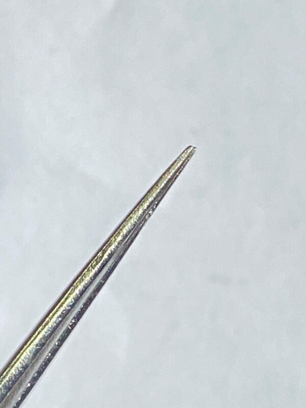 WhatsApp Image 2025-07-03 at 12.40.30 PM BAYONET FORCEPS FINE