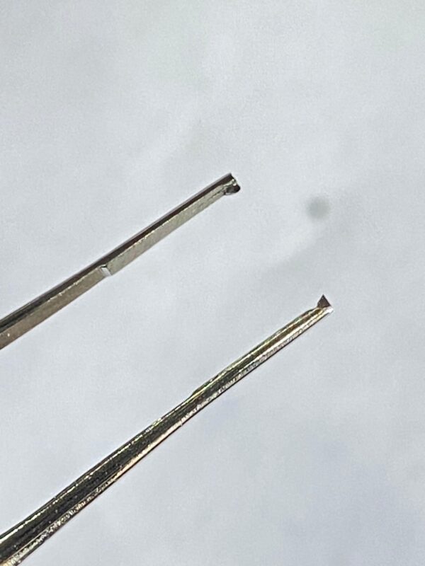 WhatsApp Image 2025-07-03 at 12.42.17 PM (1) FIXATION FORCEP TOOTH