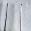 WhatsApp Image 2025-07-03 at 12.42.17 PM FIXATION FORCEP TOOTH