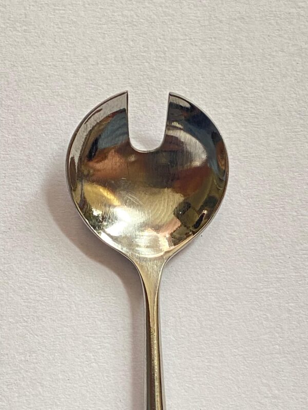 WhatsApp Image 2025-07-08 at 11.16.57 AM CHELASION SPOON