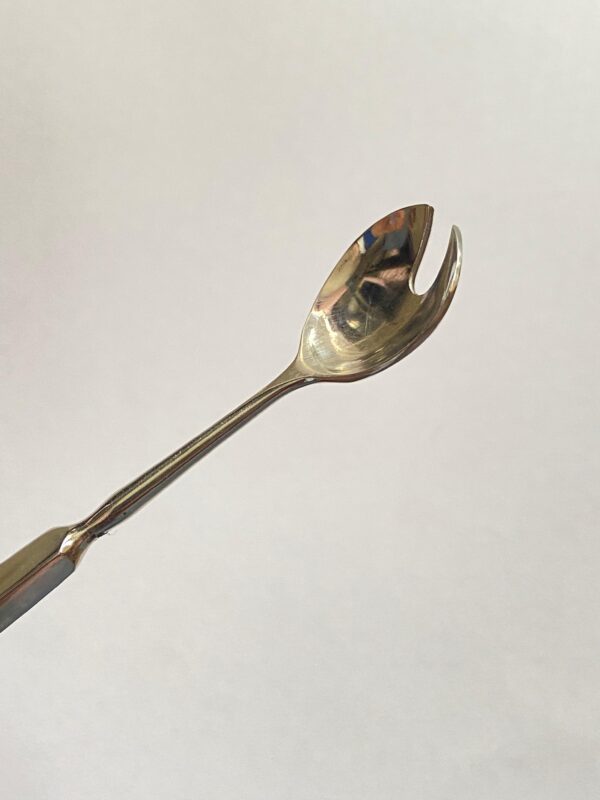 WhatsApp Image 2025-07-08 at 11.16.58 AM CHELASION SPOON