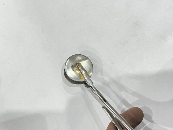 graft press forceps
