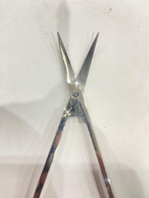 CLIP SCISSOR